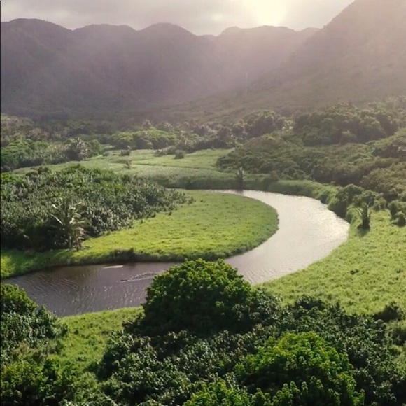 Meet your Posher, Caelyn - Picture 1 of 1